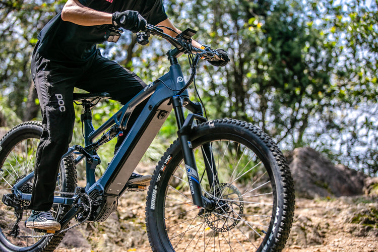 Handlebar & Grips