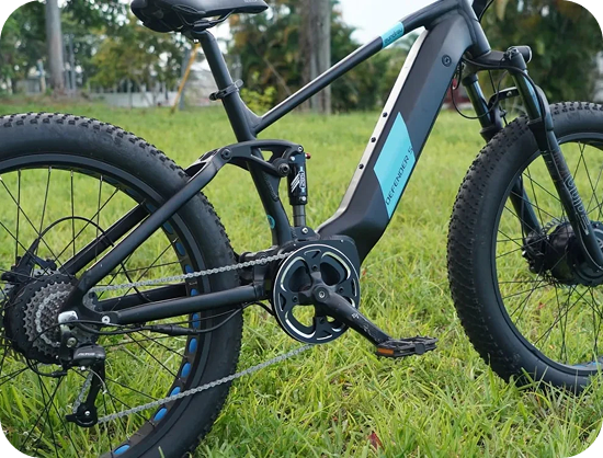 Dual Suspension/Dual Motor/Dual Battery