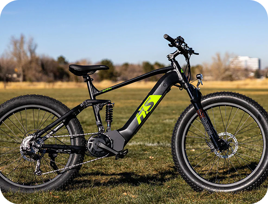 Mid Motor & Dual Suspension & Dual Battery