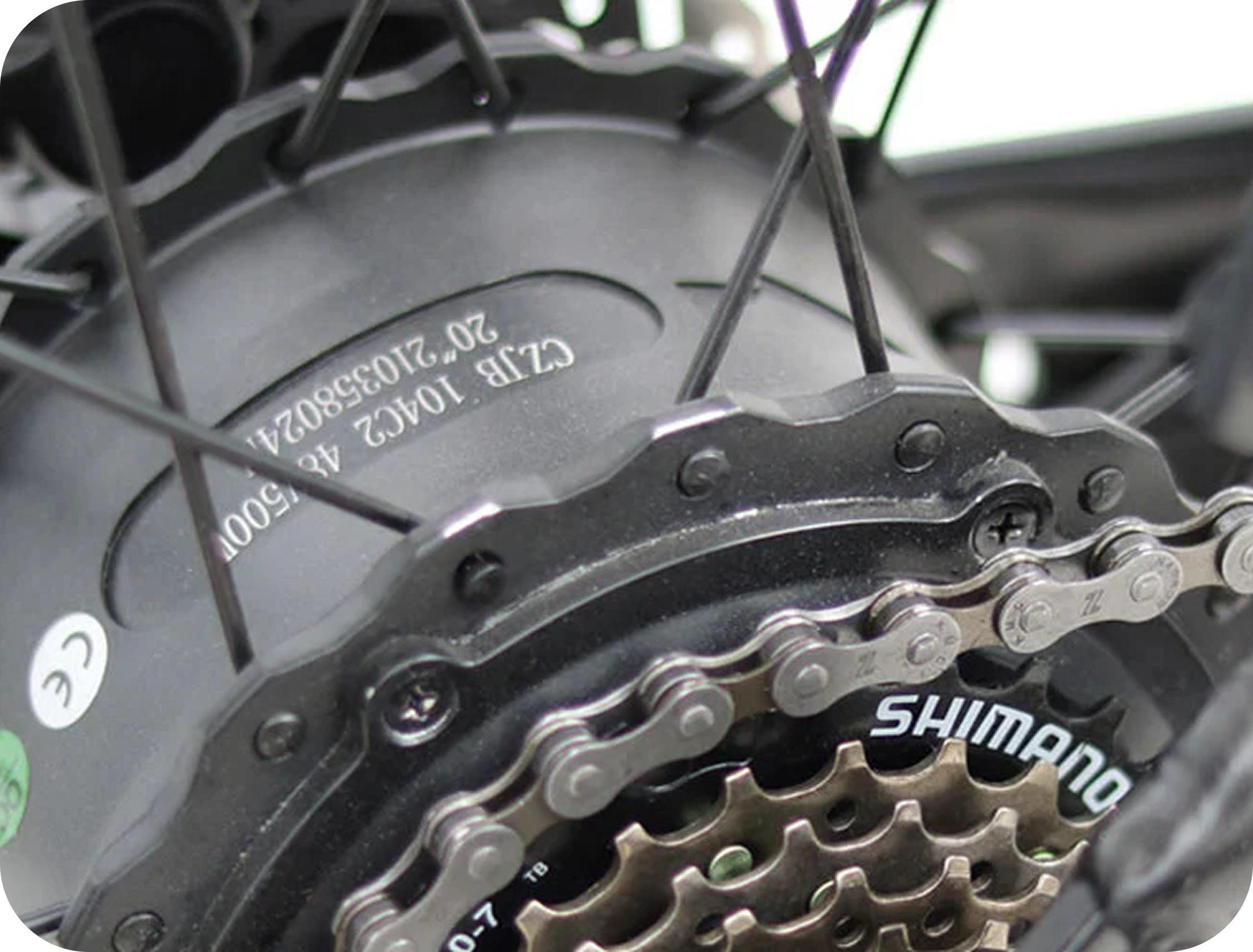 500W Rear-Mounted Motor