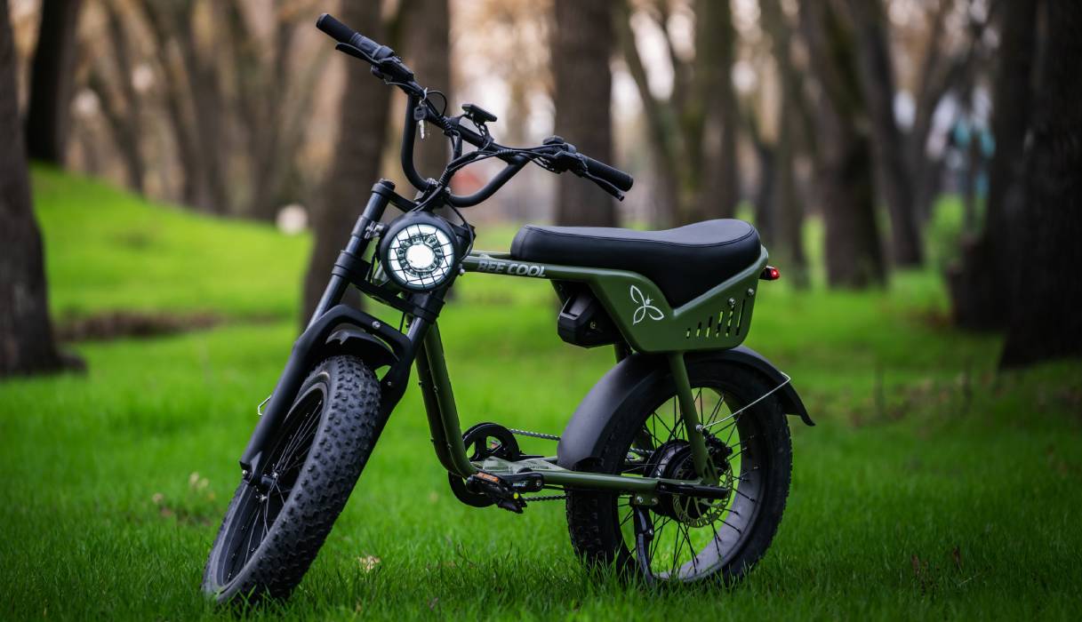 Electric Bee Tracer Bike