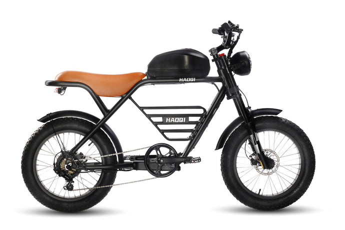 HAOQI Rhino Electric Bike
