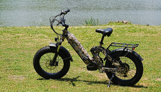 Bee Ranger Electric Bike - Versatile All-Terrain E-Bike