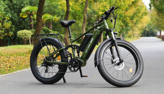 Electric Bike Bee Voyager