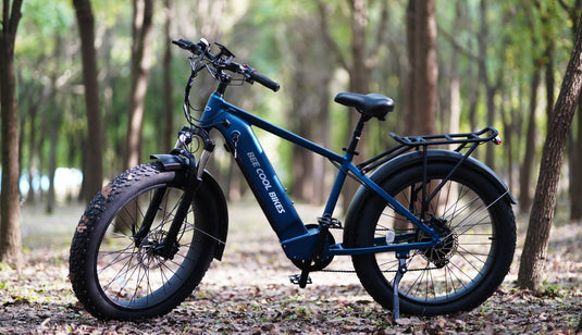 Electric Bike Bee Pathfinder