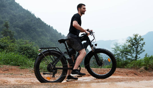Bee Adventurer Electric Bike with Powerful 750W Motor