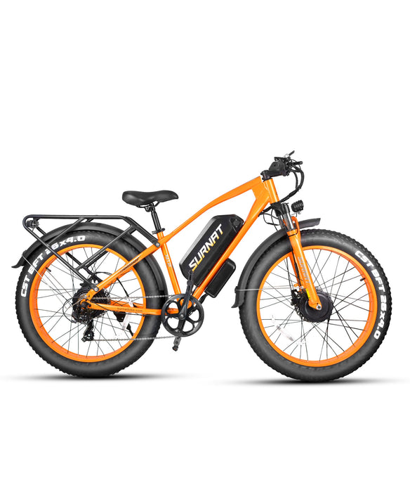 Victrip Surnat N12 E-Bike