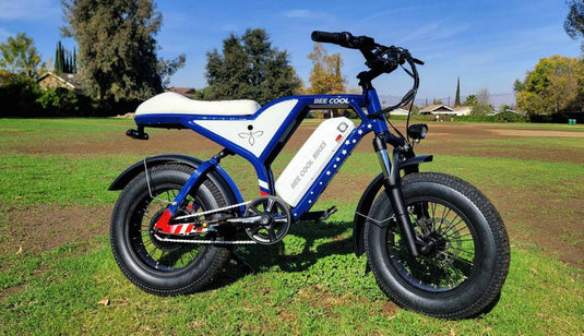 Bee Blazer Electric Bike