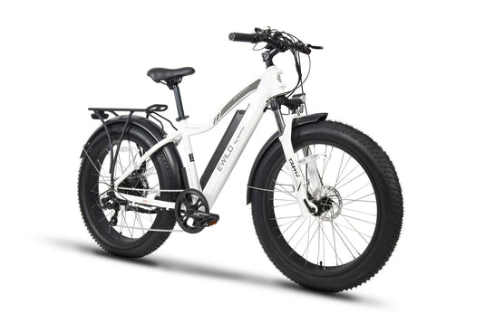 Electric Mountain Bike E-Wild C2