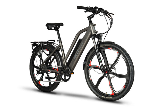 Electric Mountain E-Bike Hallo Pro