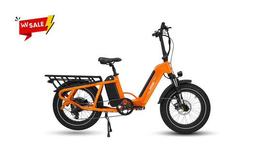Haoqi Camel Electric Cargo Bike