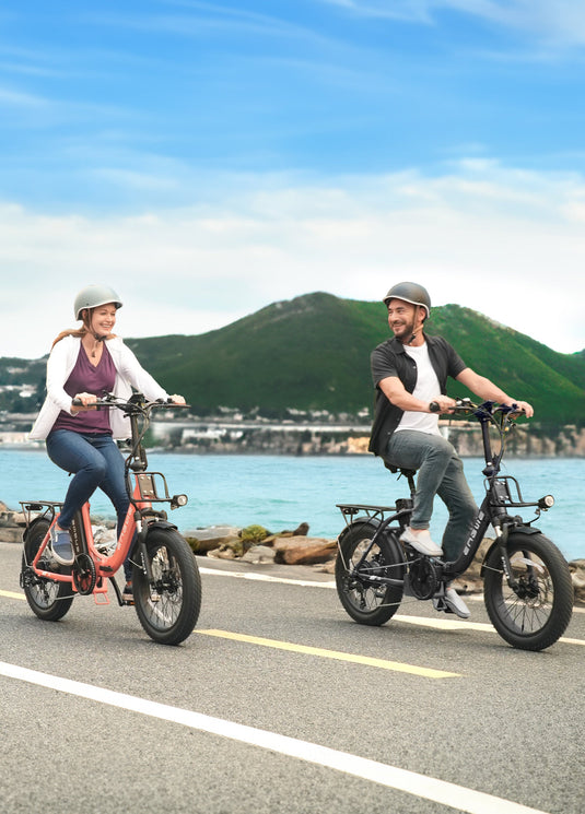 ENGWE L20 2.0 E-Bike