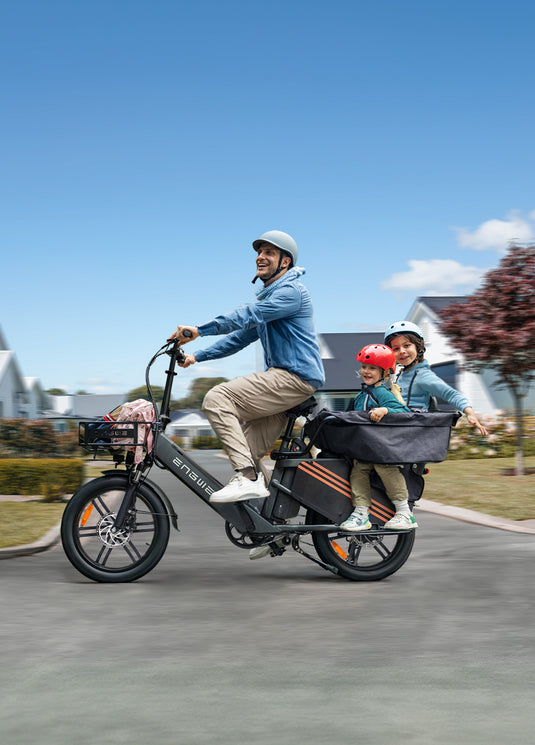 Electric Cargo Bike LE20