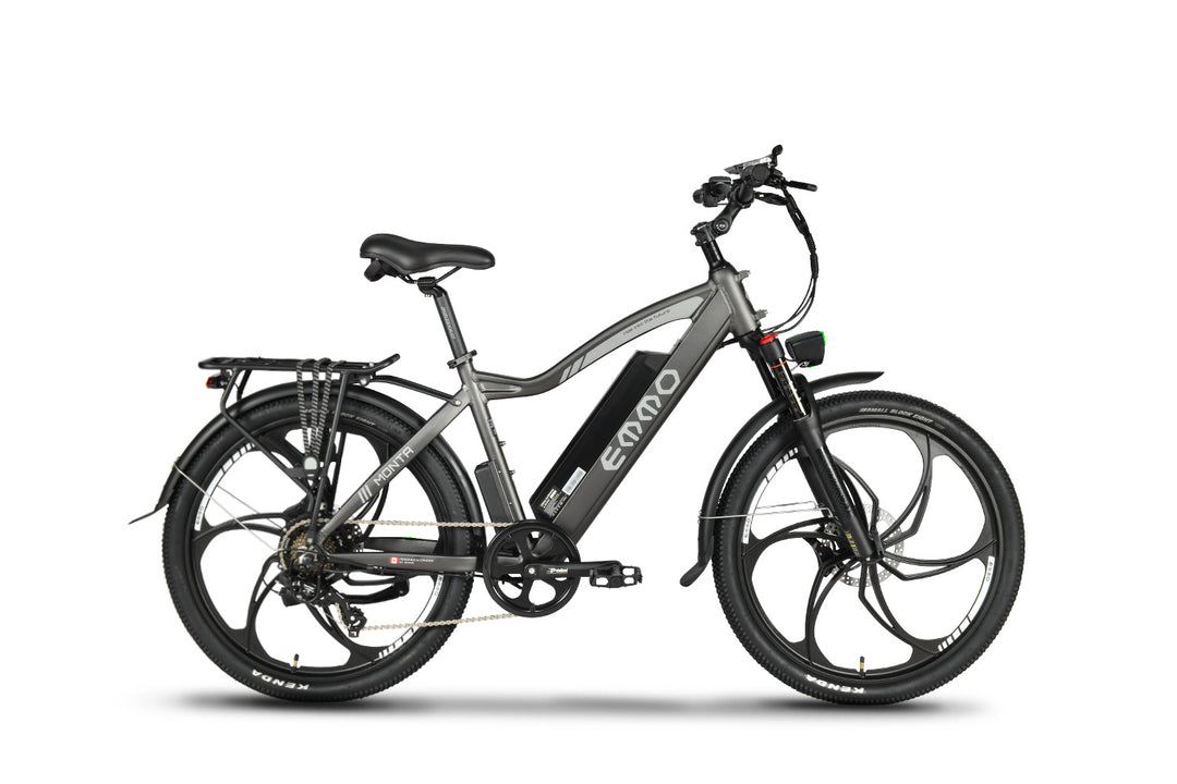 Monta Pro Electric Bike