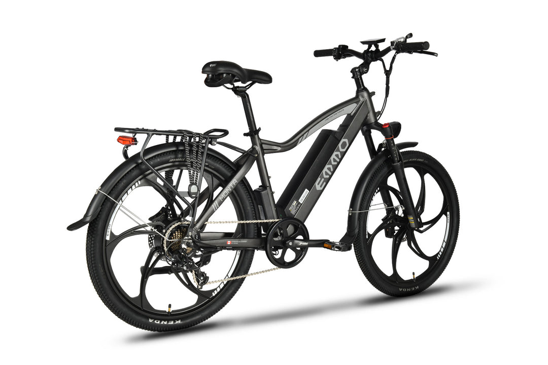 Monta Pro Electric Bike