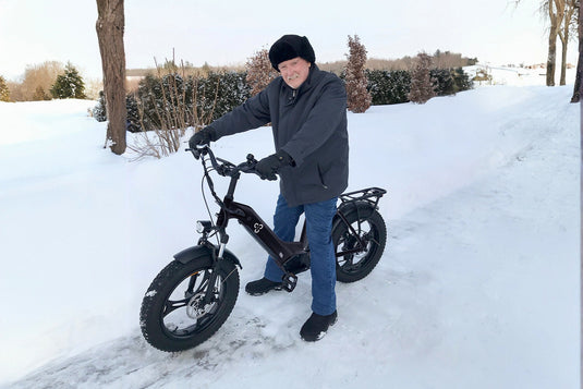 HAOQI Antelope Cargo E-Bike