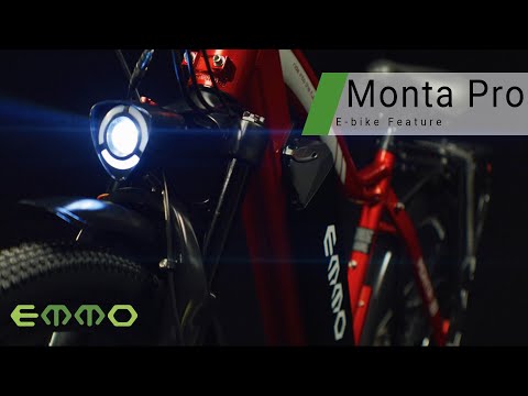 Monta Pro Electric Bike