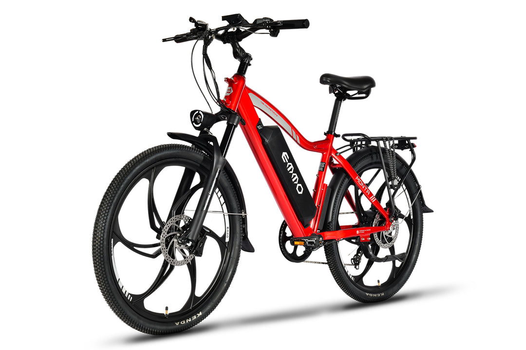 Monta Pro Electric Bike